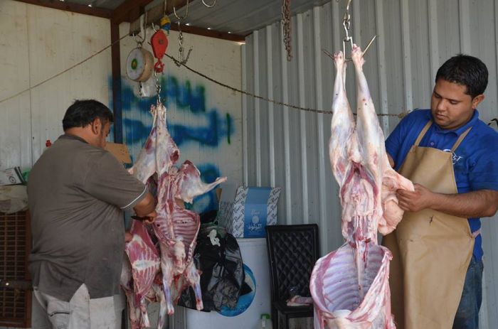 يَّواصل مضيف الإمام الحسن المجتبى (عليه السلام) في مرقد العلويَّة الطاهرة شريفة بنت الإمام الحسن المجتبى (عليهما السلام) عمله بتقديم أفضل الخدمات للزا