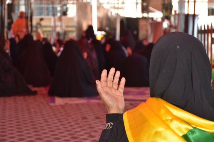 حَملة من الجمهورية الإسلامية الإيرانية / في ضيافة العلوية الطاهرة (ع) .
