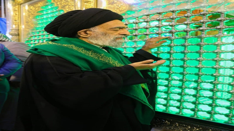 اية الله السيد هادي المدرسي
