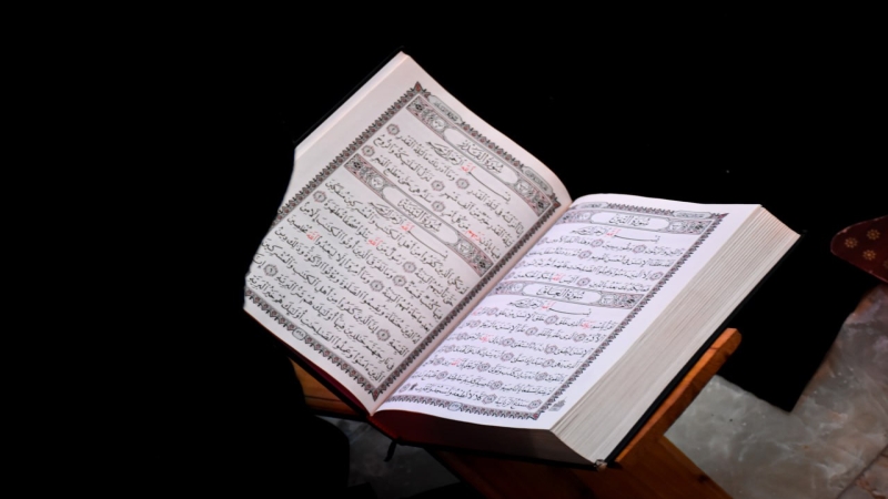 محاضرة قرآنيٌّة نسوية بذكرى استشهاد الإمام الحسن المجتبى (عليه السَّلام)