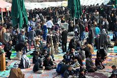 صور حركة الزائرين