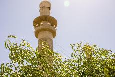 فاجعل اللّـهمَّ صباحي هذا نازلا علي بضياء الهدى وبالسَّلامة بالسلام في الدّين والدُّنيا  #دعاء_الصباح