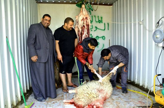 المواكب المعزية ( موكب ومضيف الزهراء الخدمي )