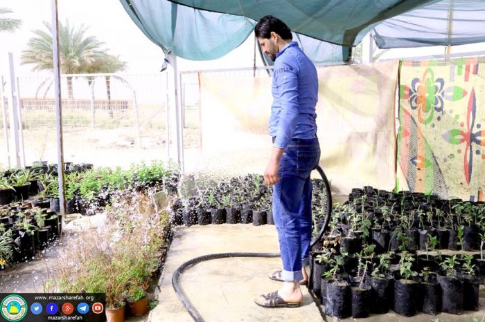 شعبة الزراعة في مَزار العلويَّة الطاهرة السَيدة شَريفة بنت الإمام الحَسن المُجتبى (عليهما السلام)