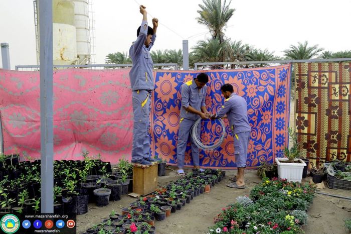 شعبة الزراعة في مَزار العلويَّة الطاهرة السَيدة شَريفة بنت الإمام الحَسن المُجتبى (عليهما السلام)