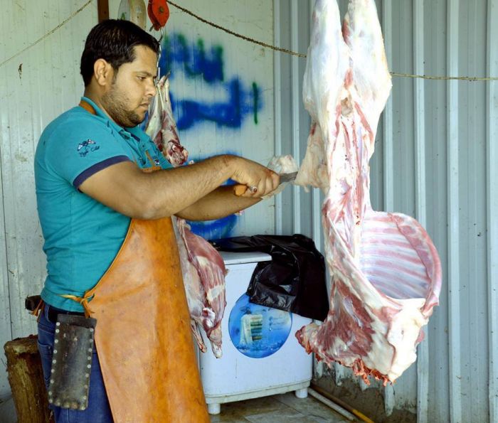 يَّواصل مضيف الإمام الحسن المجتبى (عليه السلام) في مرقد العلويَّة الطاهرة شريفة بنت الإمامالحسنالمجتبى (عليهما السلام)
