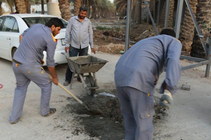 جانب من ابداعات شعبة الزراعة التابعة لمرقد العلوية الطاهرة شريفة بنت الامام الحسن (عليهما السلام)