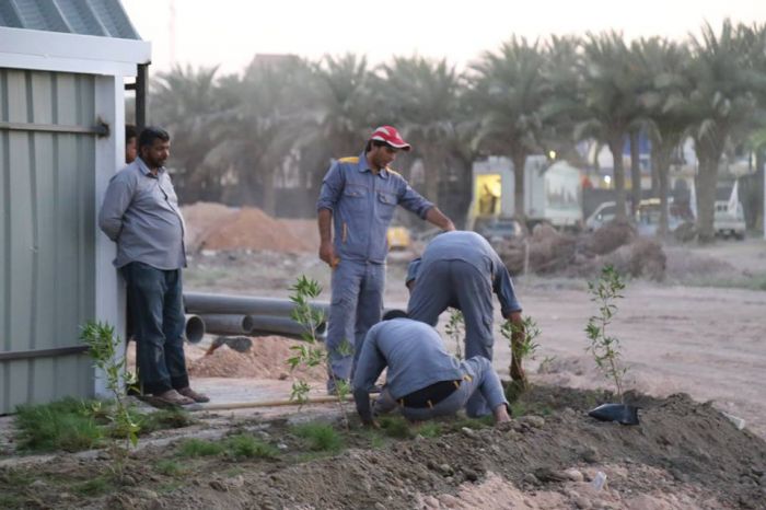 تشجير جميع شوارع وأروقّة المرقد الشريف بمختلف أنواع الشتلات