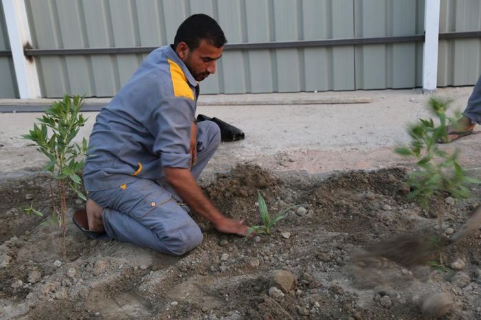 تشجير جميع شوارع وأروقّة المرقد الشريف بمختلف أنواع الشتلات