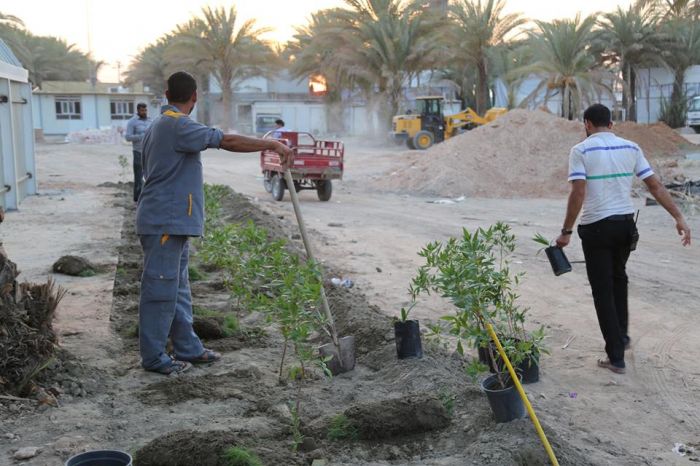 تشجير جميع شوارع وأروقّة المرقد الشريف بمختلف أنواع الشتلات