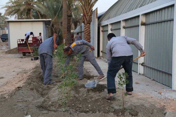 تشجير جميع شوارع وأروقّة المرقد الشريف بمختلف أنواع الشتلات