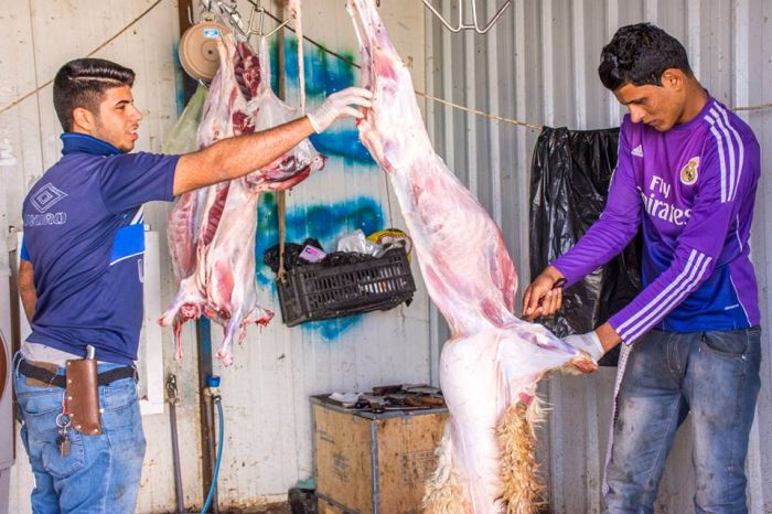 مضيف سبط النبي المجتبى يستضيف زائرين أبنته العلوية شريفة (عليها السلام)