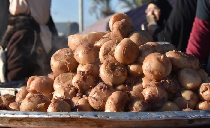 المواكب الحسينية في مرقد العلوية شريفة بنت الامام الحسن المجتبى (ع) .