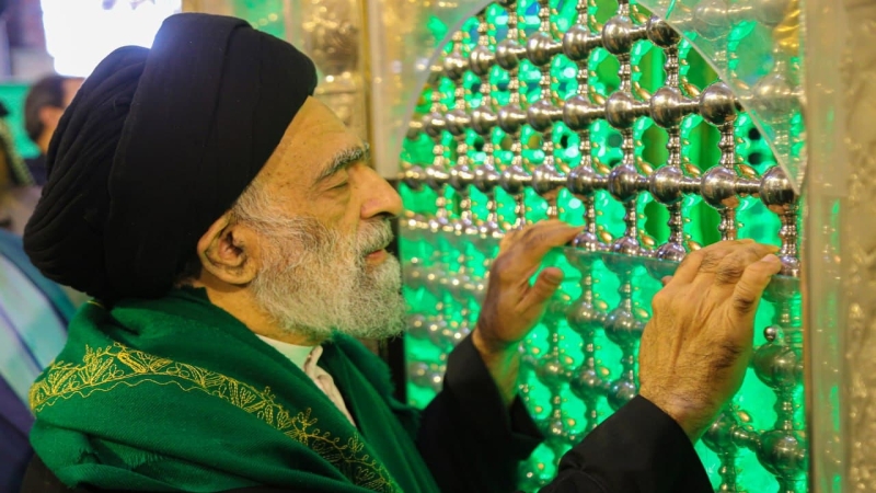 اية الله السيد هادي المدرسي