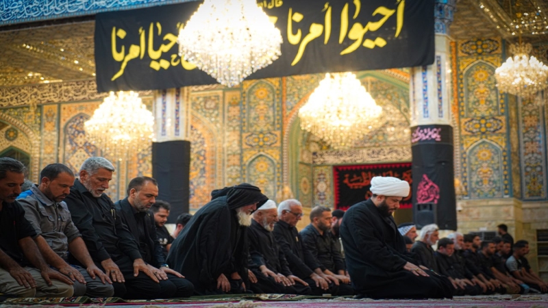 صلاة الجماعة العبادية في حرم السيدة شريفة بنت الامام الحسن المجتبى(عليهما السلام)