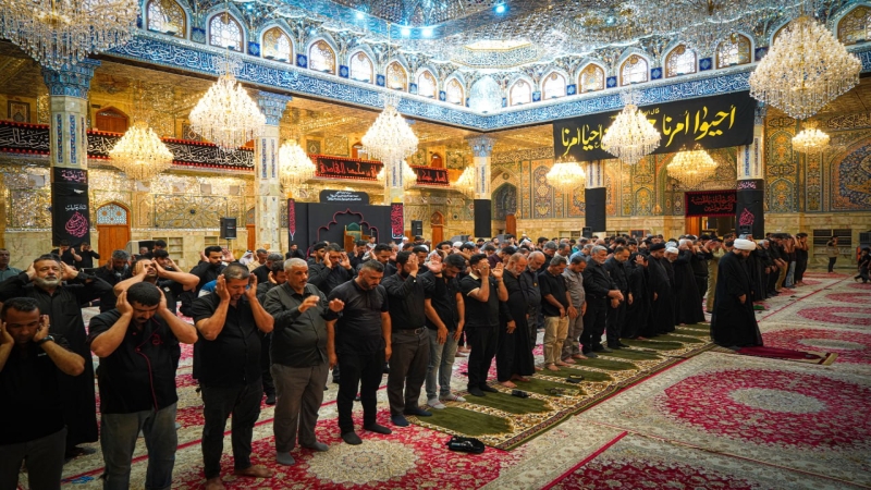 صلاة الجماعة العبادية في حرم السيدة شريفة بنت الامام الحسن المجتبى(عليهما السلام)